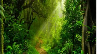 പ്രതീകാത്മക ചിത്രം/Shutterstock