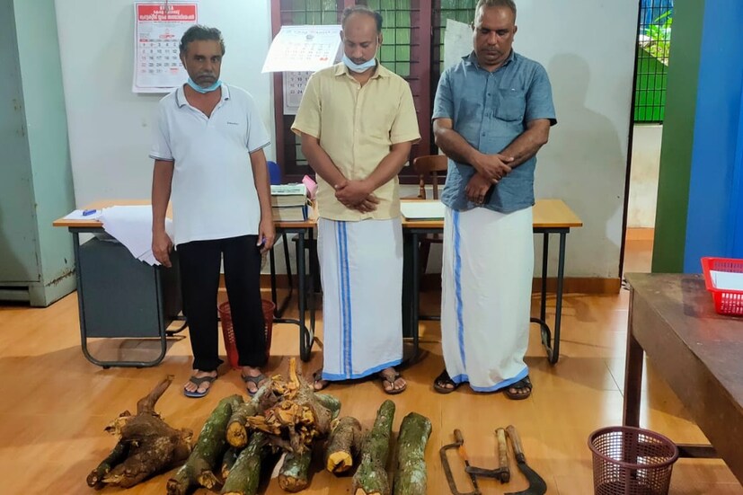 കോഴിക്കോട്: പള്ളി ഖബര്‍സ്ഥാനില്‍ നിന്നും ചന്ദനം മുറിച്ചുകടത്തിയ മഹല്ല് മുതവല്ലി ഉള്‍പ്പെടെ മൂന്നുപേര്‍ അറസ്റ്റില്‍. കോഴിക്കോട് എലത്തൂര്‍ മഹല്ല് മുതവല്ലി മുഹമ്മദ് നിസാര്‍, ചന്ദനം വാങ്ങാനെത്തിയ മുസ്തഫ, അബദുല്‍ നാസര്‍ എന്നിവരാണ് പിടിയിലായത്. ചന്ദന മുട്ടികളും കാറും കസ്റ്റഡിയിലെടുത്തു.