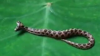 പ്രതീകാത്മക ചിത്രം