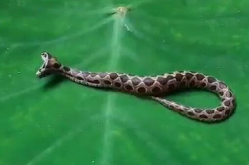 പ്രതീകാത്മക ചിത്രം