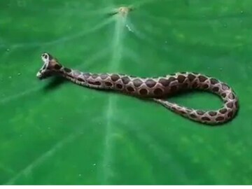 പ്രതീകാത്മക ചിത്രം