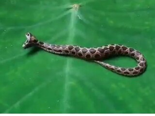 പ്രതീകാത്മക ചിത്രം പ്രതീകാത്മക ചിത്രം