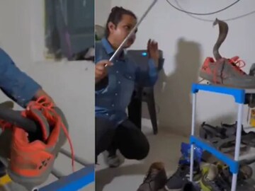 Cobra-Shoe
