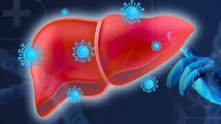 (Image: Shutterstock