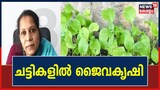ചട്ടികളിൽ ജൈവകൃഷി; പ്ലാസ്റ്റിക് രഹിത സന്ദേശവുമായി കായംകുളം കൃഷി ഭവൻ