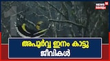 Video| കാഴ്ചക്കാരുടെ മനസ്സ് നിറച്ച് കാട്ടിലെ അപൂർവ ഇനം ജീവജാലങ്ങളുടെ ചിത്ര പ്രദർശനം