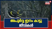 Video| കാഴ്ചക്കാരുടെ മനസ്സ് നിറച്ച് കാട്ടിലെ അപൂർവ ഇനം ജീവജാലങ്ങളുടെ ചിത്ര പ്രദർശനം