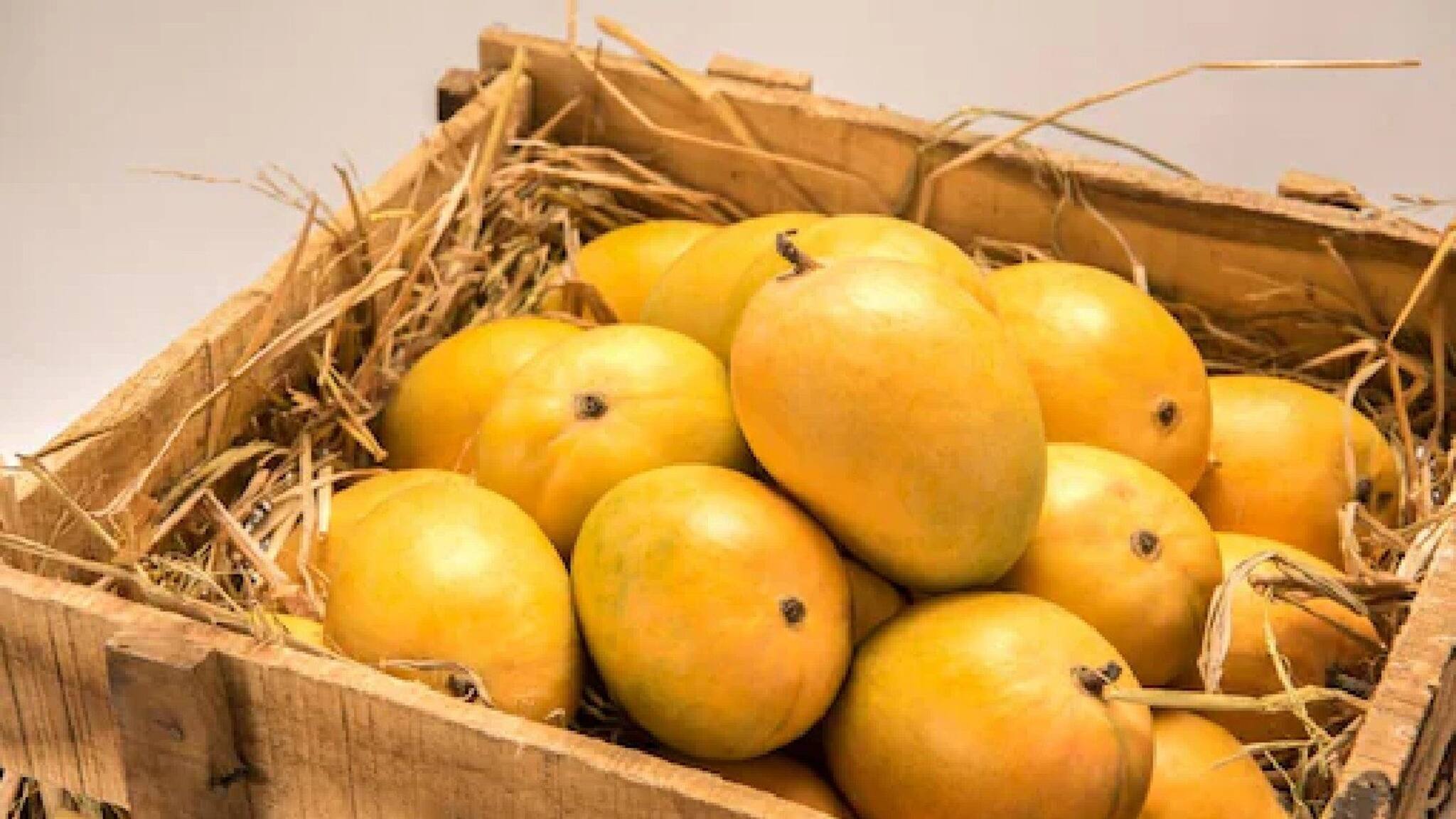 Mango | ക്യാൻസർ സാധ്യത കുറയും; കണ്ണിന് കാഴ്ച കൂടും; മാമ്പഴം കഴിച്ചാൽ ലഭിക്കുന്ന 4 ഗുണങ്ങൾ