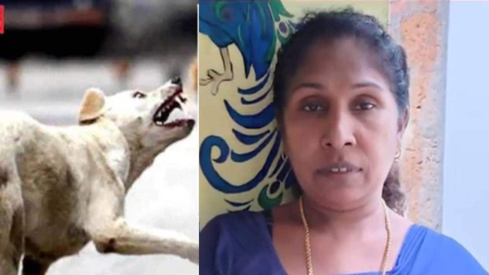 Stray Dog തൃശ്ശൂരിൽ തെരുവുനായയുടെ കടിയേറ്റ് ചികിത്സയിലായിരുന്ന സ്ത്രീ