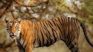 പ്രതീകാത്മക ചിത്രം