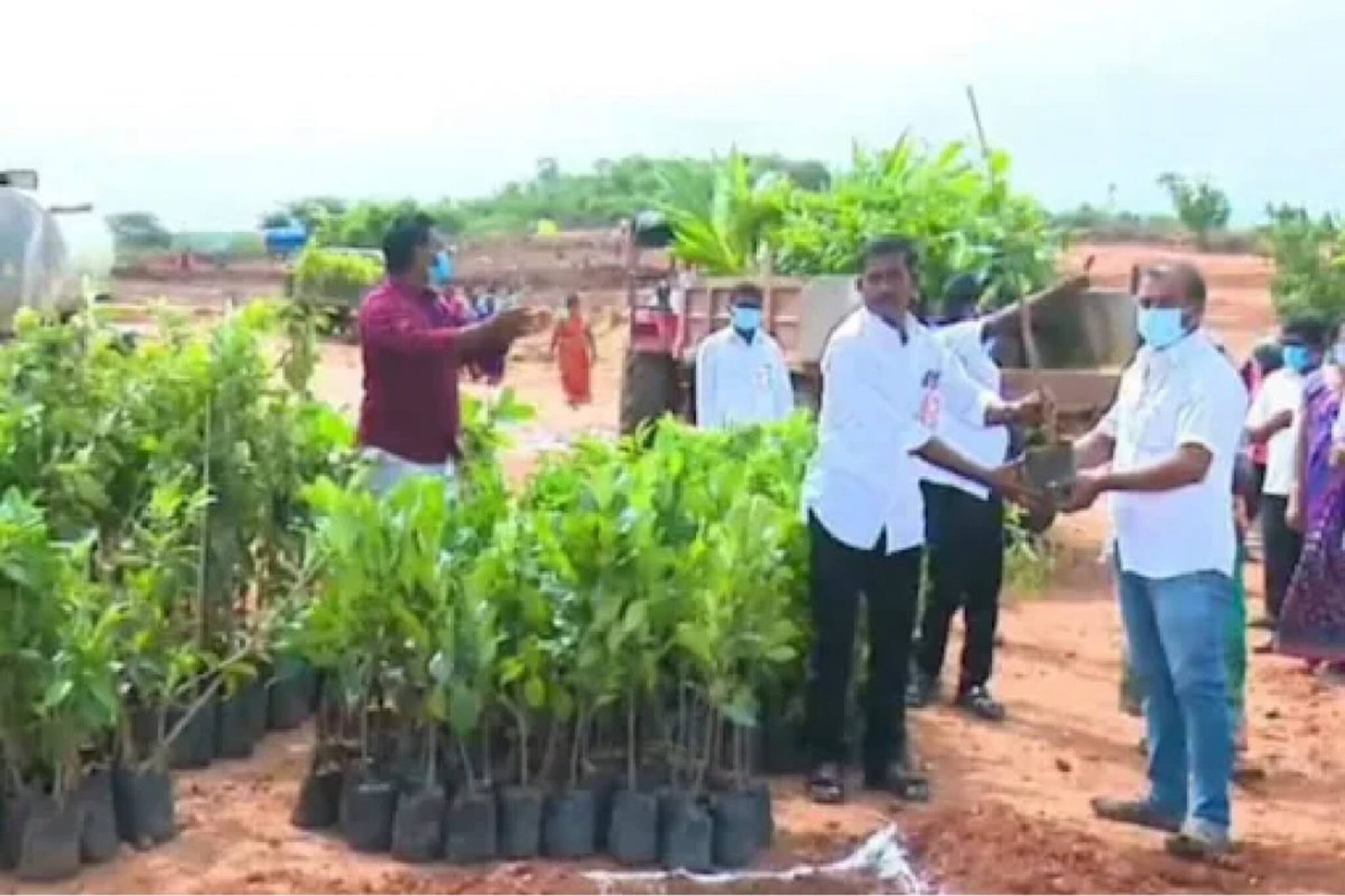 42 ഏക്കര്‍ ഭൂമിയില്‍ 75,000 വൃക്ഷതൈകള്‍ നട്ട് പഞ്ചായത്ത് പ്രസിഡന്റ്, റെക്കോര്‍ഡ് നേട്ടം