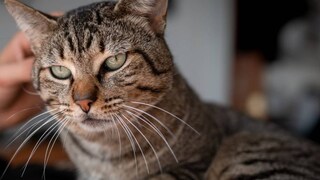 പ്രതീകാത്മക ചിത്രം