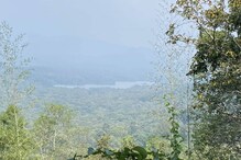 ബഫര്‍സോണ്‍; ഒരു കിലോ മീറ്റര്‍ പരിധിയിലെ നിര്‍മാണങ്ങളുടെ വിവരങ്ങള്‍ ശേഖരിക്കാന്‍ വിദഗ്ധ സമിതി
