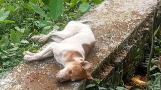 (പ്രതീകാത്മക ചിത്രം)