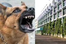 പേവിഷബാധയേറ്റയാൾ കോട്ടയം മെഡിക്കൽ കോളേജിൽ നിന്ന് ചാടിപ്പോയി;അഞ്ചു  മണിക്കൂറിനുശേഷം പോലീസ് പിടികൂടി