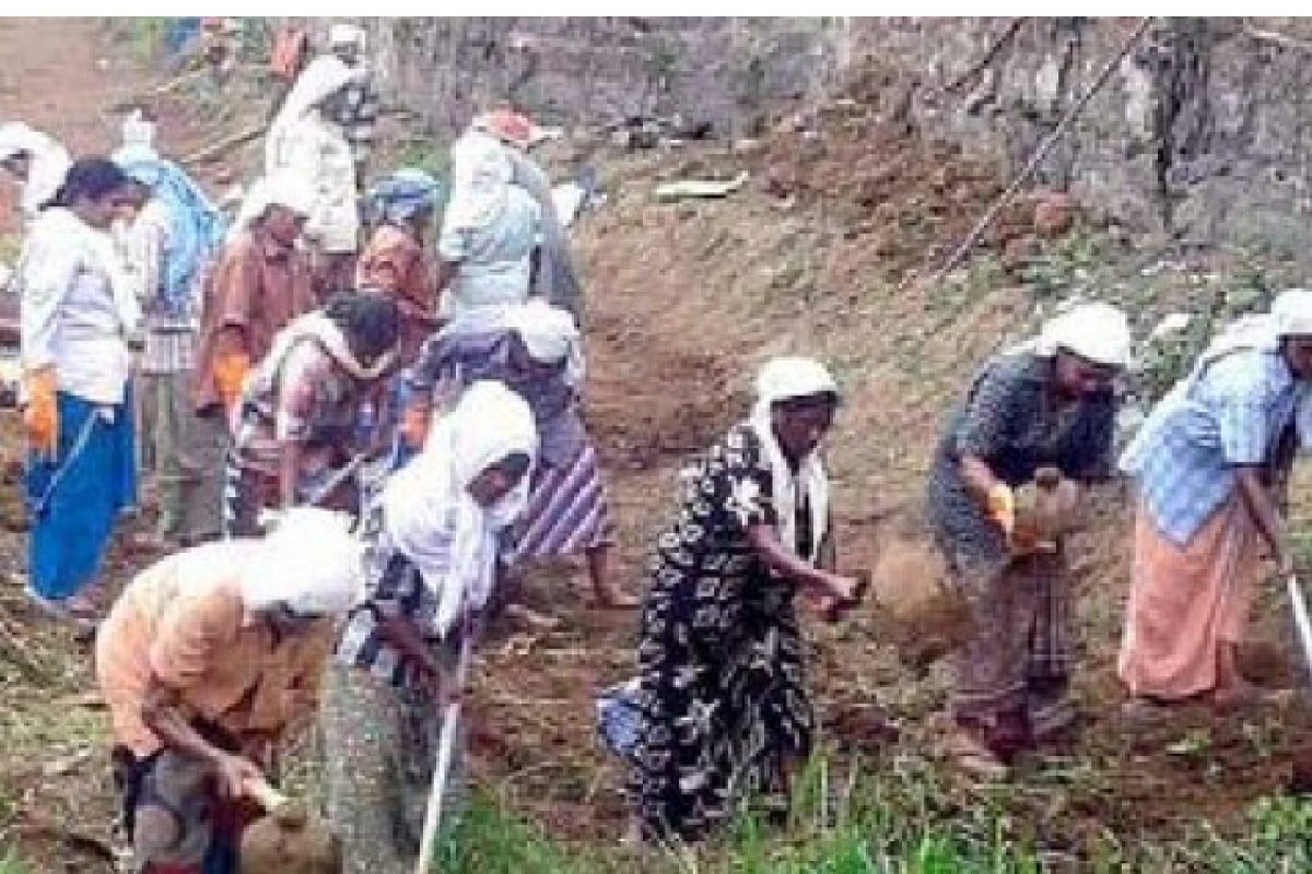 തൊഴിലുറപ്പ് പദ്ധതിയില്‍ രാജ്യത്ത് ഒന്നാമത് നില്‍ക്കുന്ന കേരളത്തിന്‍റെ സാഹചര്യങ്ങള്‍ പരിഗണിക്കാതെയുള്ള നിബന്ധനകള്‍ സംസ്ഥാനത്തെ പദ്ധതി നടത്തിപ്പിനെ ഗുരുതരമായി ബാധിക്കും. 