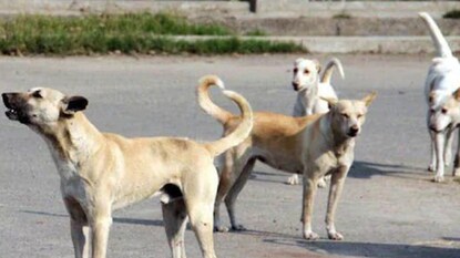 പ്രതീകാത്മക ചിത്രം പ്രതീകാത്മക ചിത്രം