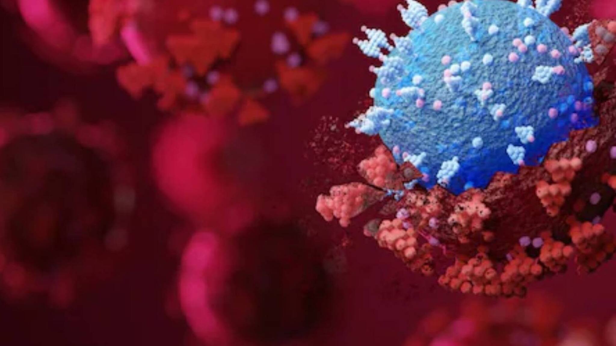 കോവിഡ് :വിദേശത്ത് നിന്ന് എത്തുന്നവർ ചെയ്യേണ്ടതെന്തൊക്കെ? എയർ സുവിധ പോർട്ടൽ എങ്ങനെ ഉപയോഗിക്കാം