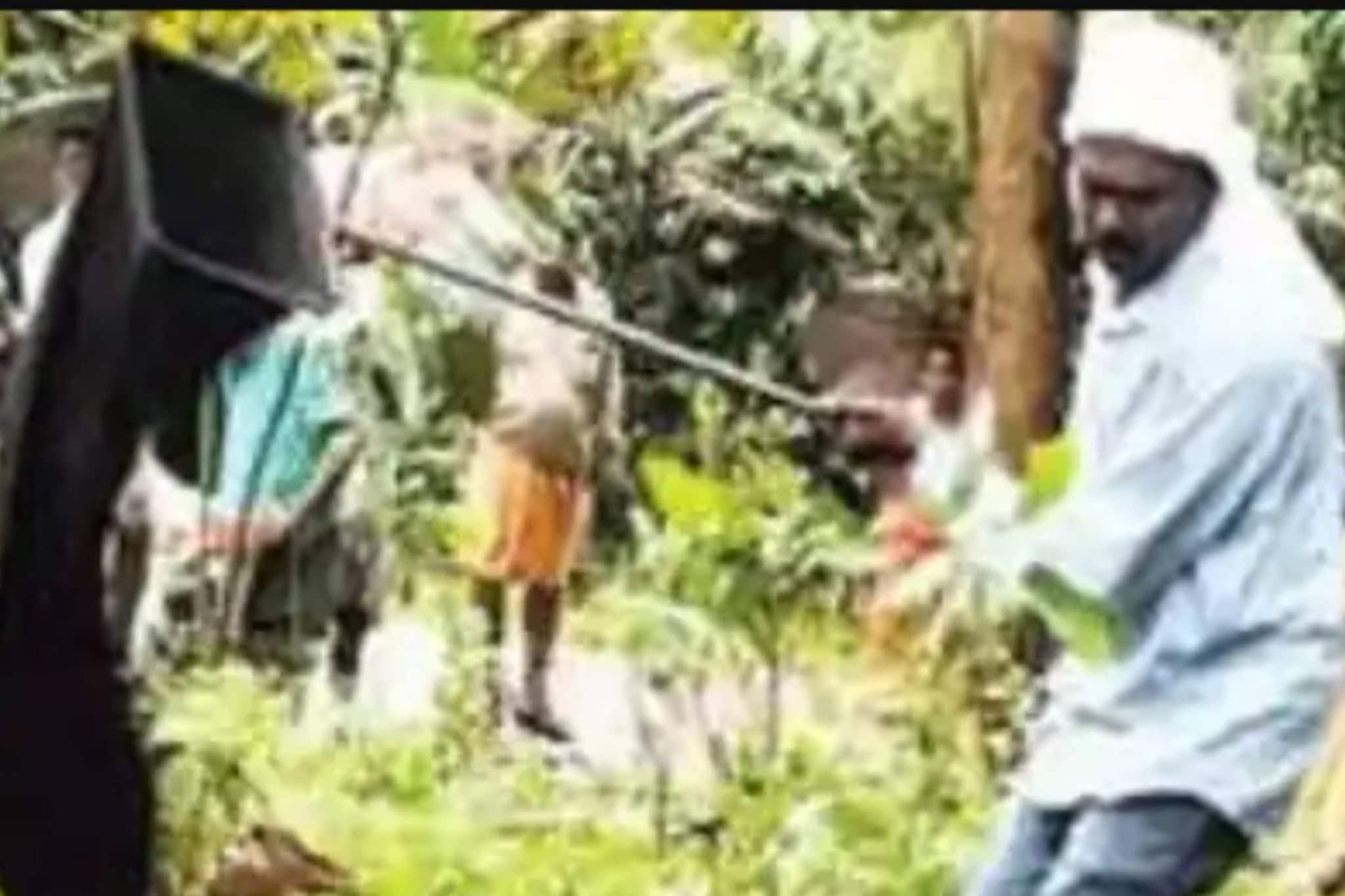 വനംവകുപ്പ് നിയമങ്ങൾ പാലിച്ച് വാവ സുരേഷിന്റെ 'ആദ്യ പാമ്പ് പിടുത്തം'