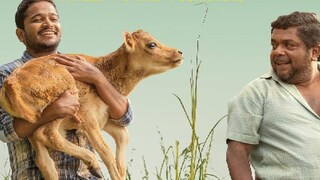 പാൽതു ജാൻവർ