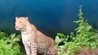 പ്രതീകാത്മകചിത്രം പ്രതീകാത്മകചിത്രം