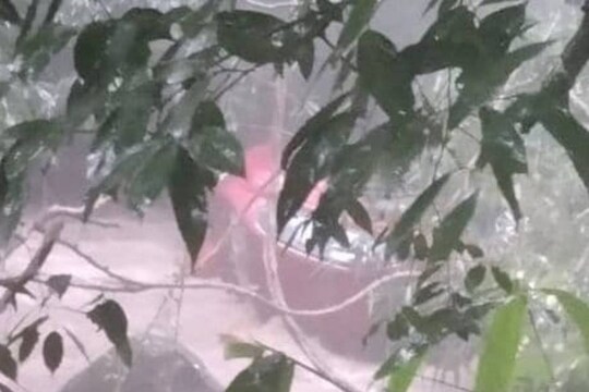 തിരുനെല്‍വേലിയില്‍നിന്ന് വെള്ളച്ചാട്ടം കാണാനെത്തിയവരുടെ കാറാണ് മലവെള്ളപ്പാച്ചിലില്‍ പെട്ടത്
