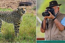 ചീറ്റകള്‍ക്ക് പേര് വേണം; ‍ഇന്ത്യൻ സംസ്കാരവുമായി ബന്ധപ്പെട്ടത് വേണമെന്ന്  പ്രധാനമന്ത്രി