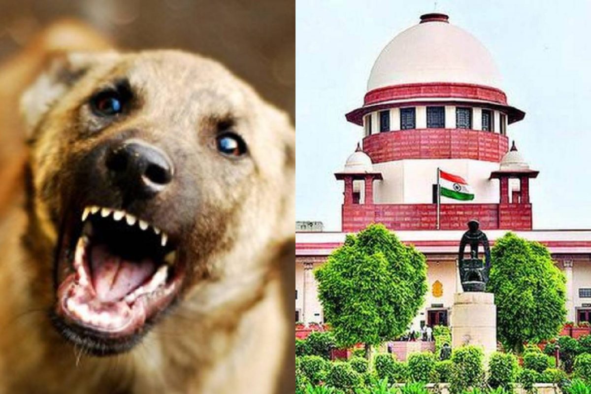 സുപ്രീംകോടതി തന്നെ നിയോഗിച്ച ജസ്റ്റിസ് സിരിജഗന്‍ കമ്മിറ്റിയില്‍ നിന്ന് വിഷയത്തില്‍ അടിയന്തര റിപ്പോര്‍ട്ട് തേടണമെന്നും ഹര്‍ജിക്കാരന്‍ ആവശ്യപ്പെട്ടു. 