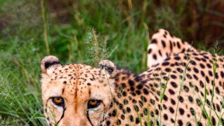 (Photo: Shutterstock)