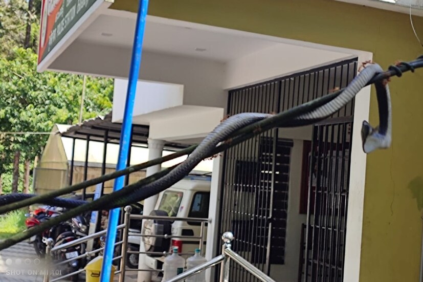  കേരള - തമിഴ്‌നാട് അതിർത്തിയോട് ചേർന്നാണ് കമ്പംമെട്ട് പൊലീസ് സ്റ്റേഷൻ സ്ഥിതി ചെയ്യുന്നത്. തൊട്ടടുത്ത് തമിഴ്‌നാട് വനഭൂമിയാണ്. ഇവിടെ നിന്നും എത്തുന്ന വാനരക്കൂട്ടം സ്റ്റേഷനും പരിസരവാസികൾക്കും ഉണ്ടാക്കുന്ന ശല്യം ചെറുതല്ല.