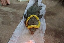 കാസർഗോഡ് കുമ്പള അനന്തപുരം ക്ഷേത്രത്തിലെ അത്ഭുത മുതല ബബിയ മരിച്ചു