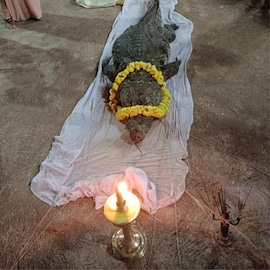 നിവേദ്യം കഴിച്ച് കാലംകഴിച്ച തടാകക്ഷേത്രത്തിലെ മുതല; കണ്ണീർവാർത്ത് ഭക്തർ; ബബിയക്ക് അന്ത്യാഞ്ജലി അർപ്പിക്കാൻ നീണ്ടനിര