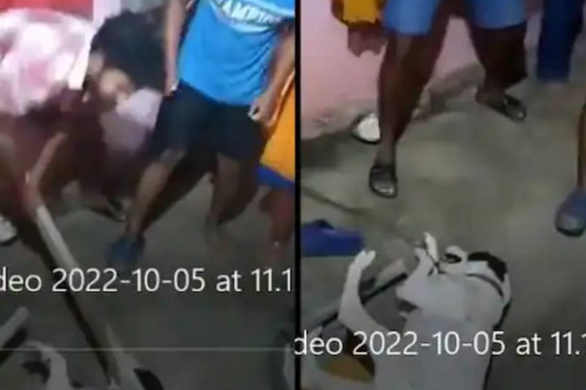 കുരച്ചത് പ്രകോപനമായി; നായയുടെ കാലുകള്‍ കെട്ടിയിട്ട് തല്ലിച്ചതച്ചു; മൂന്ന് യുവാക്കള്‍ അറസ്റ്റില്‍