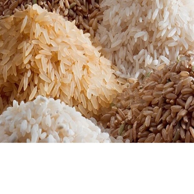 Jaya Rice, Rice from Andhra, Andhra Rice in Kerala, ജയ അരി, ആന്ധ്രയിൽ നിന്നുള്ള അരി, ആന്ധ്രാ അരി കേരളത്തിൽ