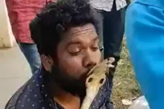 ആള്‍ക്കൂട്ടത്തിന് മുന്നില്‍വെച്ച് തലയില്‍ ചുംബിക്കാന്‍ ശ്രമിച്ചപ്പോള്‍ അലക്‌സിന്റെ ചുണ്ടില്‍ തിരിഞ്ഞുകൊത്തുകയായിരുന്നു