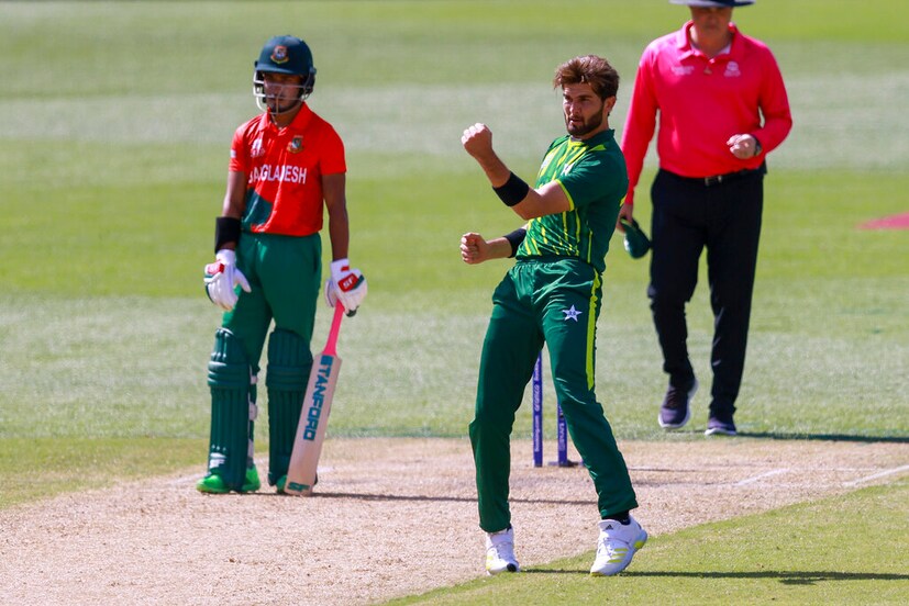 shaheen afridi celebrates after taking a wicket