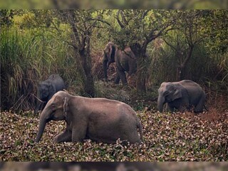 പ്രതീകാത്മക ചിത്രം