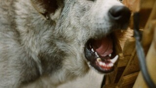 പ്രതീകാത്മകചിത്രം പ്രതീകാത്മകചിത്രം