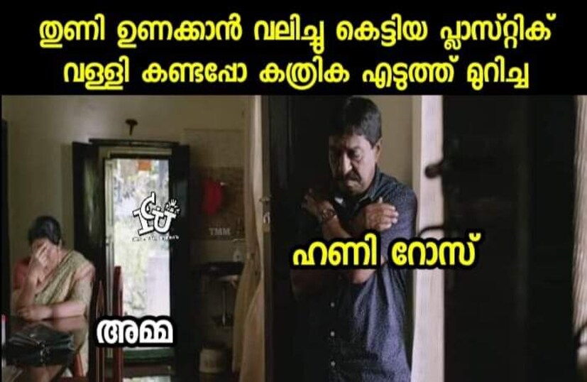  വിനയന്‍ സംവിധാനം ചെയ്ത ബോയ് ഫ്രണ്ട് എന്ന ചിത്രത്തിലൂടെയാണ് ഹണി റോസ് സിനിമാരംഗത്ത് എത്തുന്നത്