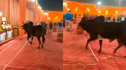 (വീഡിയോ ദൃശ്യം) (വീഡിയോ ദൃശ്യം)