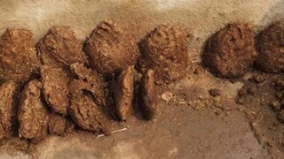 (പ്രതീകാത്മക ചിത്രം)