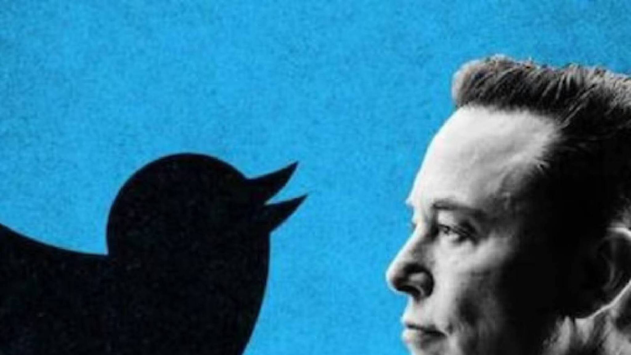 മസ്‌കിന്റെ ഇന്ത്യൻ സുഹൃത്ത് പ്രണയ് പാത്തോളിന്റെ ട്വിറ്റര്‍ അക്കൗണ്ട് മരവിപ്പിച്ചു; നടപടി കമ്പനി നിയമങ്ങള്‍ ലംഘിച്ചതിന്