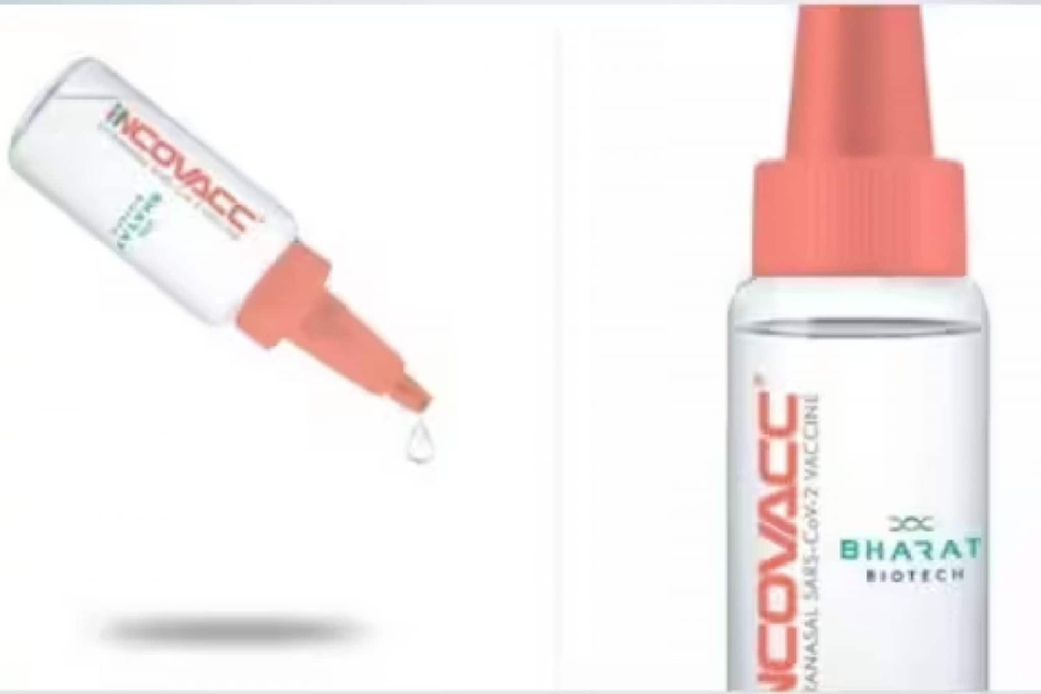 മൂക്കിലൂടെ നൽകുന്ന കോവിഡ് വാക്സിൻ പുറത്തിറക്കി ഇന്ത്യ; മുതിർന്നവർക്ക് ബൂസ്റ്റർ ഡോസ് ആയി നൽകും