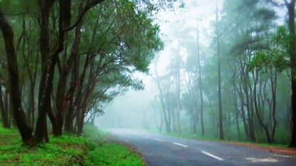 Image- keralatourism.org Image- keralatourism.org