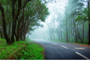 Image- keralatourism.org