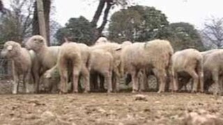 പ്രതീകാത്മക ചിത്രം
പ്രതീകാത്മക ചിത്രം