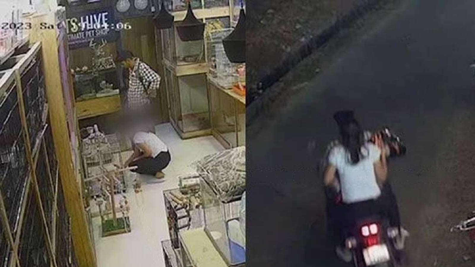 A young woman and a young man who smuggled a dog worth Rs 15,000 in a helmet from a shop in Kochi stole dog food from another shop