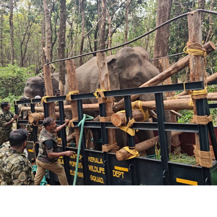  ഇതോടെ നിരപ്പായ സ്ഥലത്തേക്ക് ഇറക്കാനുള്ള ശ്രമം ആരംഭിച്ചു. പക്ഷേ PT സെവൻ കൂടുതൽ ഉള്ളിലേക്ക് കയറുകയായിരുന്നു. നാലു മണിക്കുള്ളിൽ അനുയോജ്യമായ സ്ഥലത്തേക്ക് ആനയെ എത്തിക്കാൻ കഴിഞ്ഞാൽ മയക്കുവെടി വെക്കാൻ തയ്യാറായി ദൗത്യസംഘവും സജ്ജമായി. പക്ഷേ ആന കൂടുതൽ കൂടുതൽ ഉള്ളിലേക്ക് പോവുകയായിരുന്നു. പന്ത്രണ്ടു മണിയോടെ അന്നത്തെ ദൗത്യം അവസാനിപ്പിക്കുന്നതായി സംഘം അറിയിച്ചു.