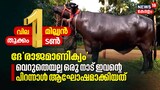 വില 10 ലക്ഷം, തൂക്കം 1 ടൺ, വെറുതെയല്ല ഒരു നാട് ഇവന്റെ പിറന്നാൾ ആഘോഷമാക്കിയത്