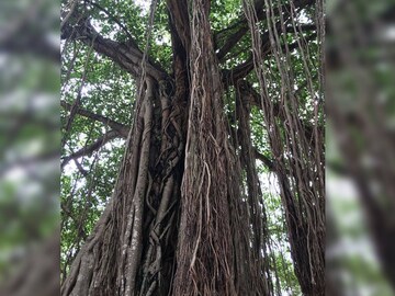 പ്രതീകാത്മക ചിത്രം പ്രതീകാത്മക ചിത്രം
